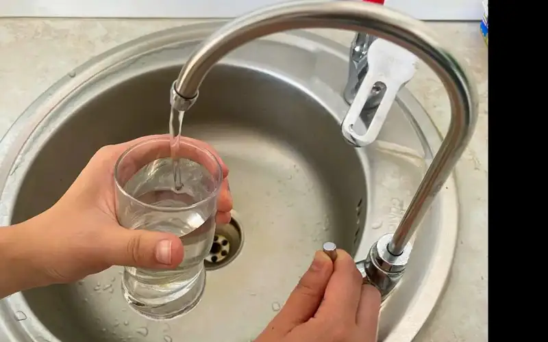sý