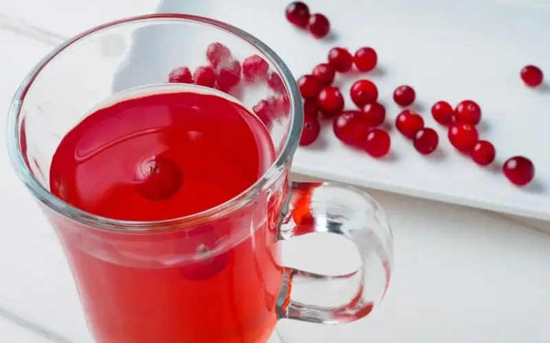 мүкжидек шырыны