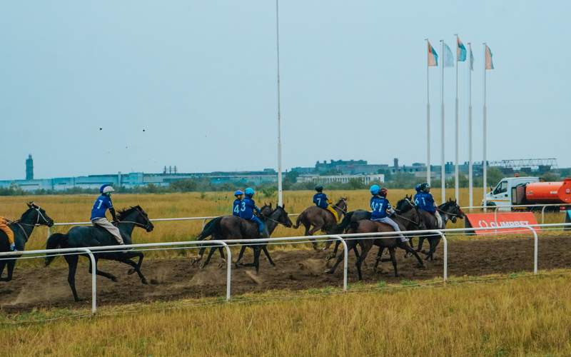 Лучшие наездники со всего Казахстана собрались на павлодарском ипподроме Лучшие наездники со всего Казахстана собрались на павлодарском ипподроме