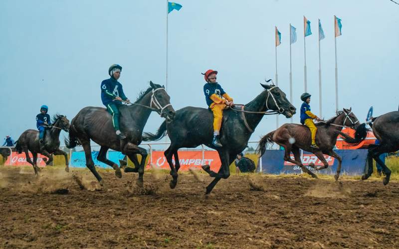 Лучшие наездники со всего Казахстана собрались на павлодарском ипподроме Лучшие наездники со всего Казахстана собрались на павлодарском ипподроме