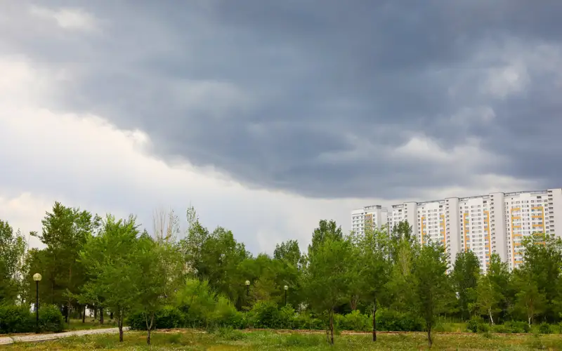 дождь, погода