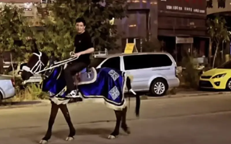 Айқын Төлепберген