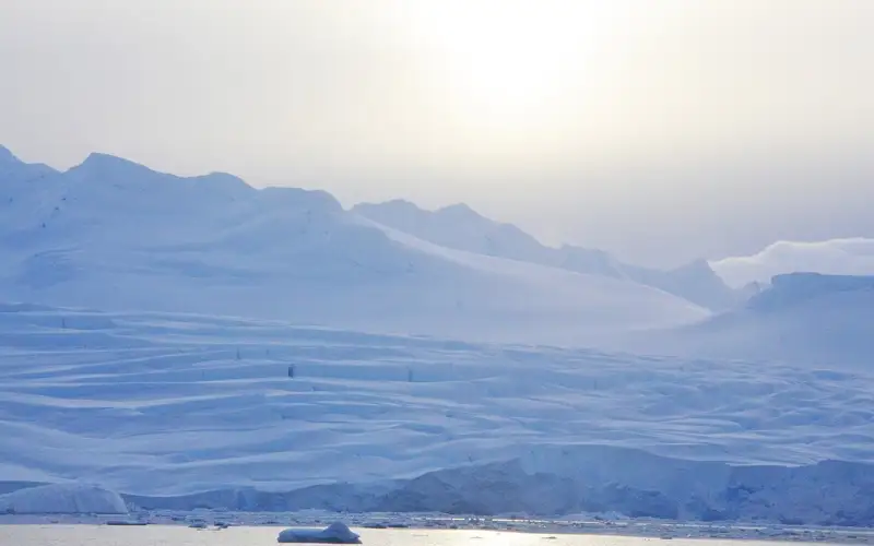 Антарктида