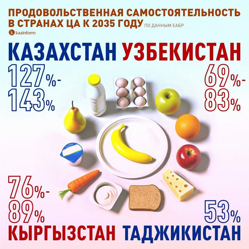 инфографика