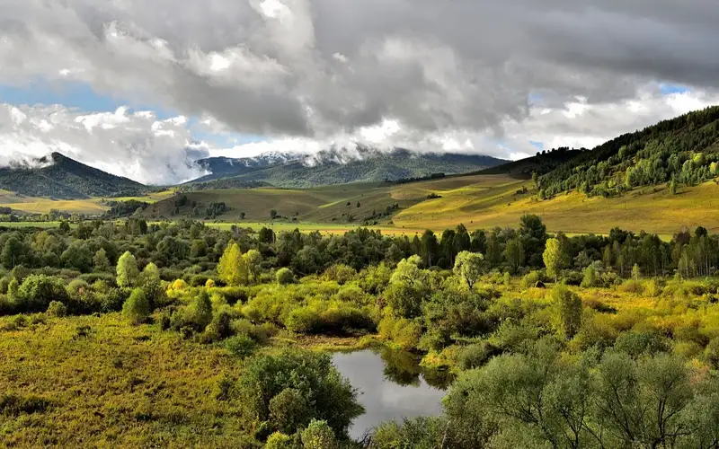 Алтайский край