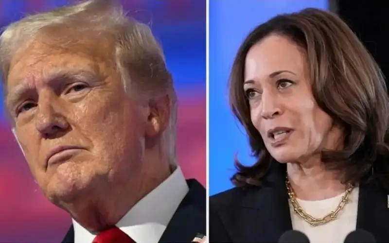  Трамп и Харрис 