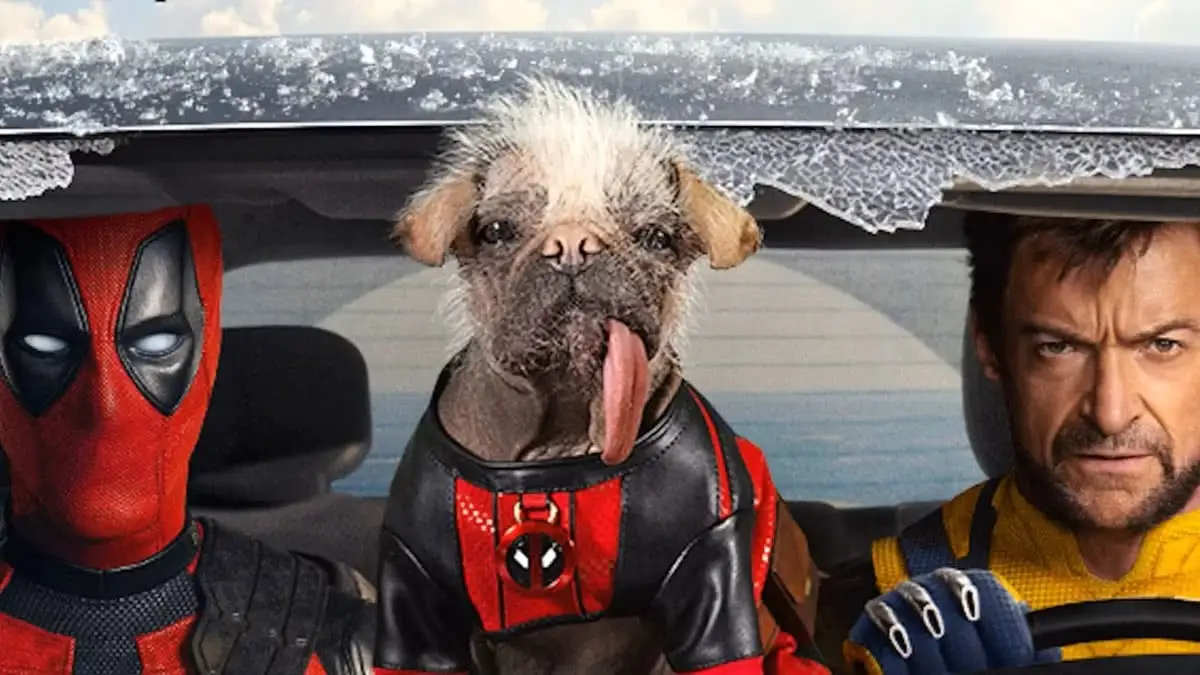 Шорт-тректегі әдемі бөксесі бар әйелдер және секс Шашты бөксе әйелдер порно фото