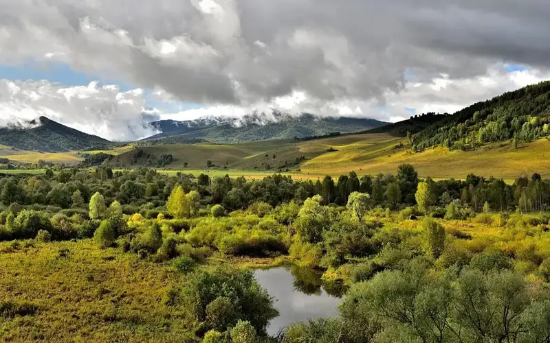 Олтой ўлкаси