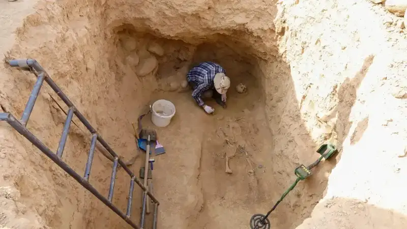 Хитойда динозаврнинг кичик излари топилди