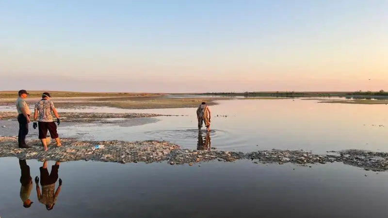 Жайықта балық қырылды