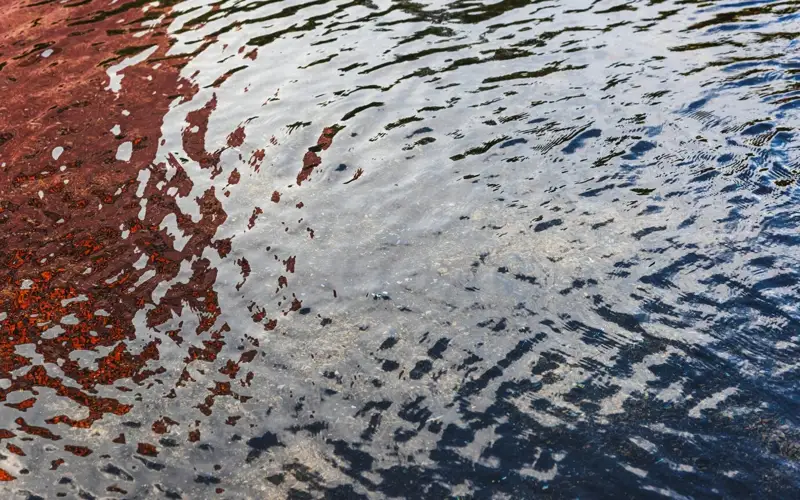 загрязнение воды