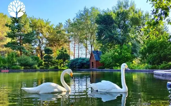 Алматыдағы ботаникалық бақ жұмыс кестесін уақытша өзгертеді