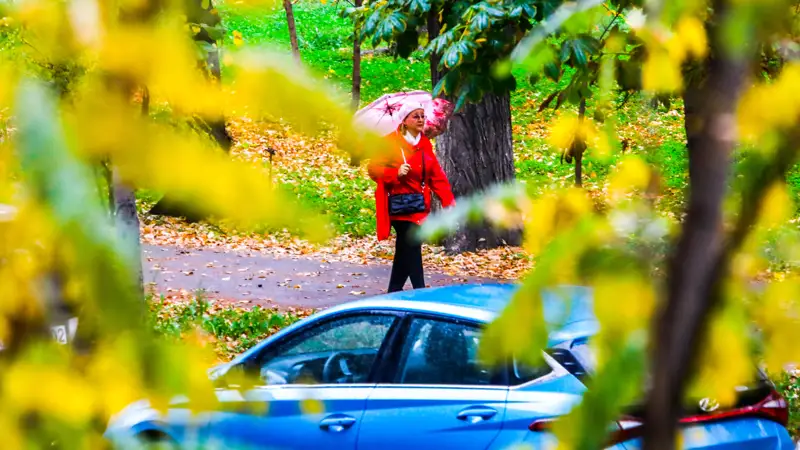 Дождь Алматы осень Жаңбыр Алматы күз