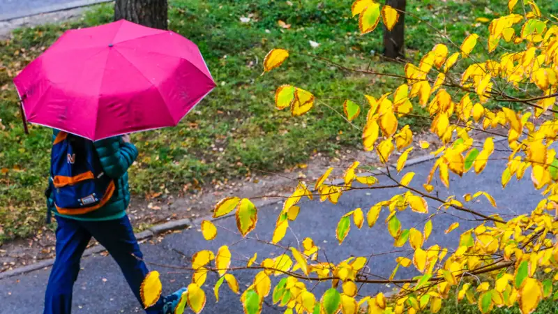 Дождь Алматы осень Жаңбыр Алматы күз