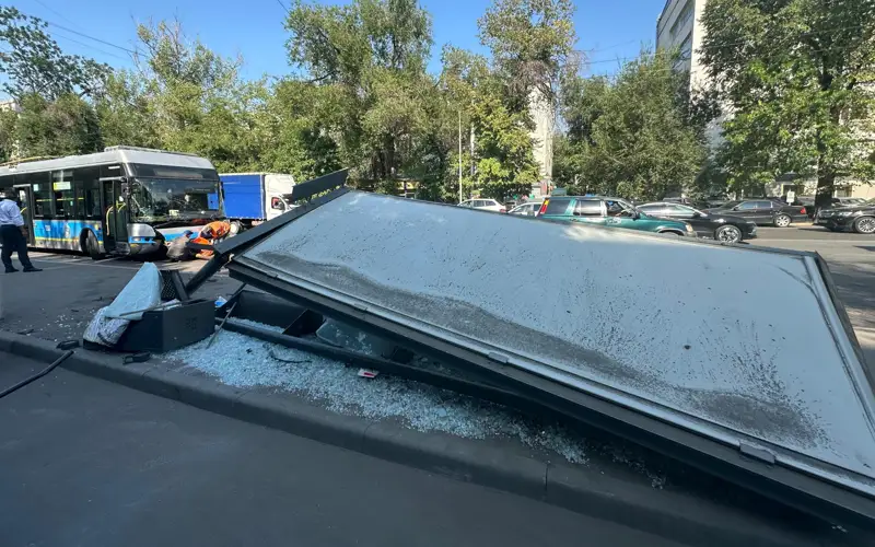 Жол апаты