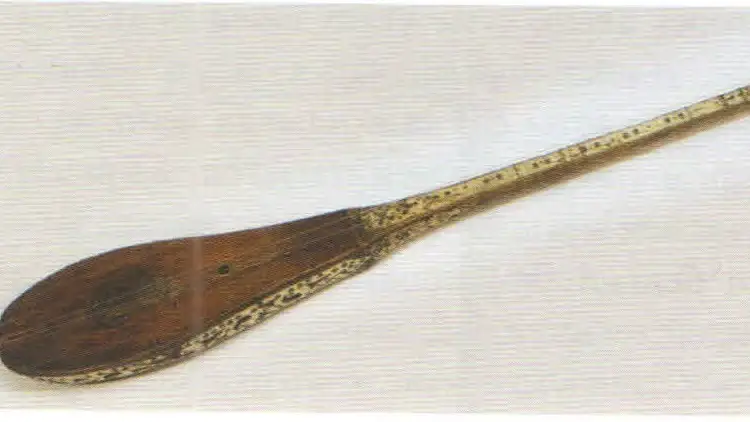 ءدىلدانىڭ دومبىراسى