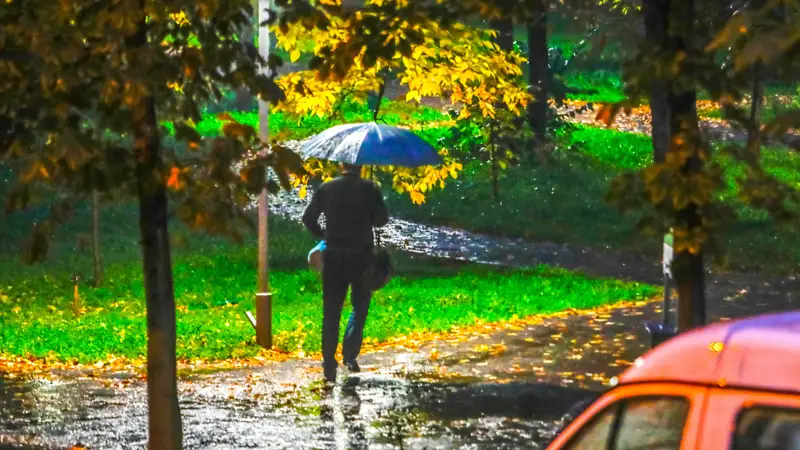 Дождь Алматы осень Жаңбыр Алматы күз