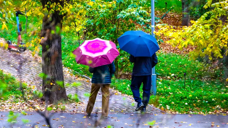 Дождь Алматы осень Жаңбыр Алматы күз