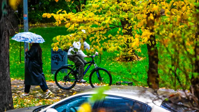 Дождь Алматы осень Жаңбыр Алматы күз