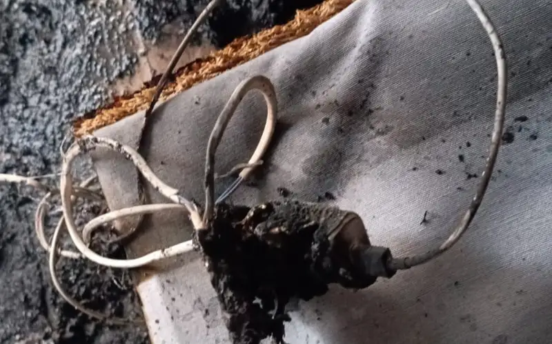 Ұялы телефон өрті