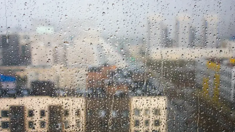 Rain