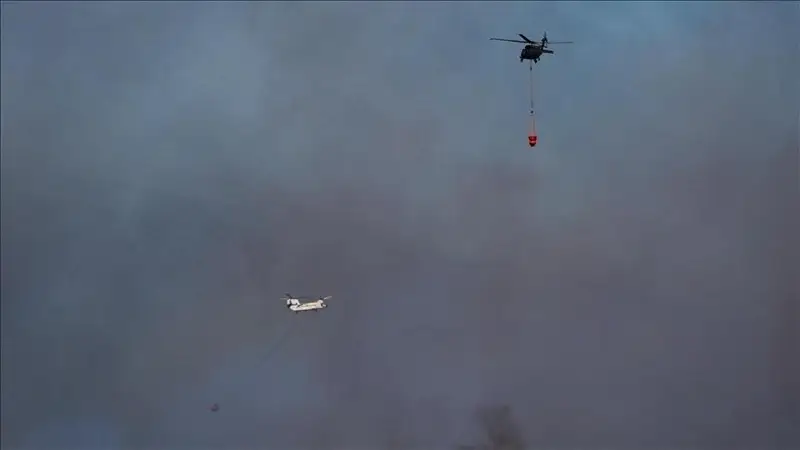 3,5 тысячи человек эвакуировали из-за лесных пожаров в Турции