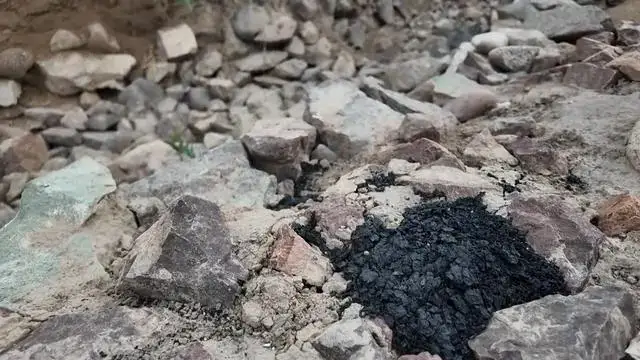 Адамзаттың алғашқы көмір жағуы Шыңжаңдағы Нылқы ауданында басталған