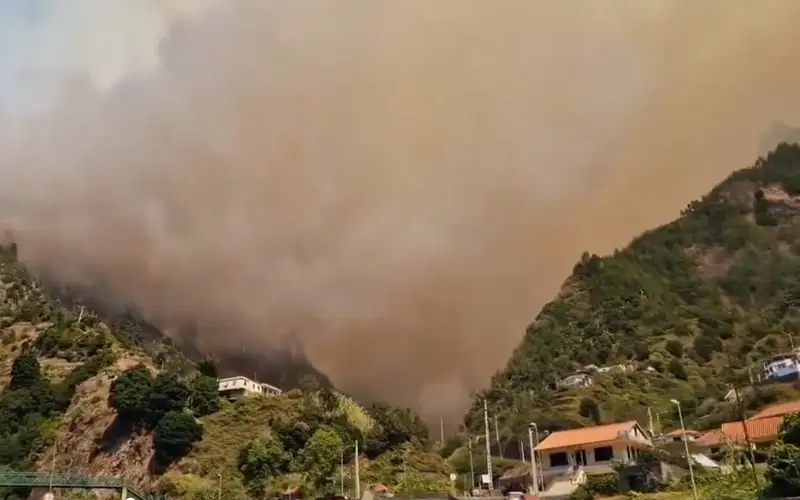 лесные пожары во Франции и Португалии