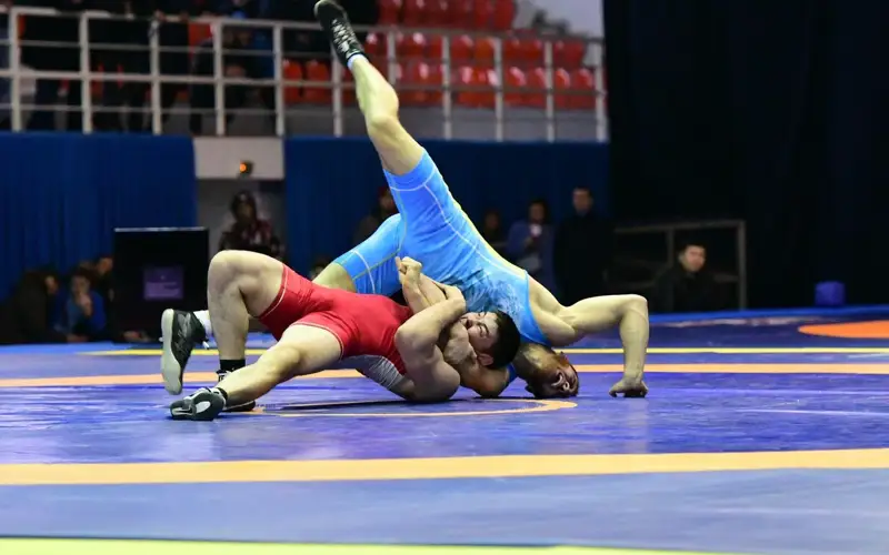  грек-рим күресі