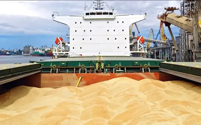 Аргентина маймун чечаги инфекциясига шубҳа қилингани учун юк кемасини карантинга олди