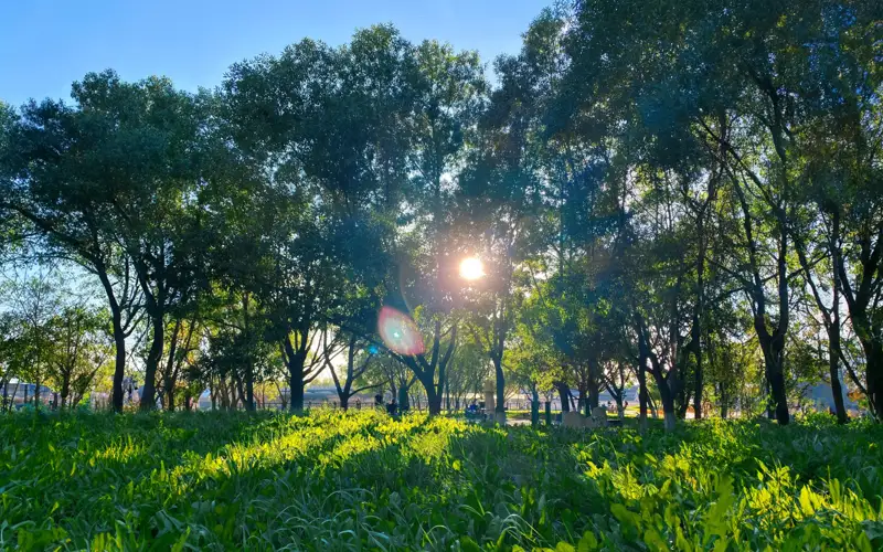 погода, лето