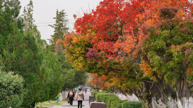 осень парк люди күз саябақ адамдар