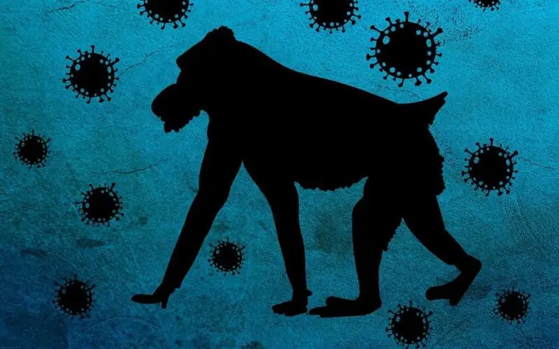 оспа обезьян