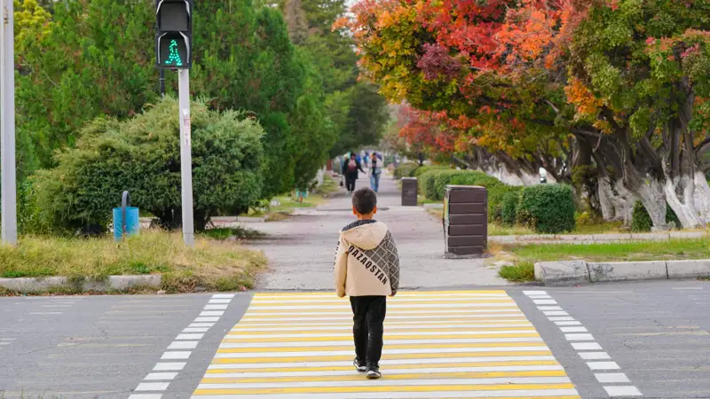 Осень  пешеход дети күз жаяу жүргінші балалар