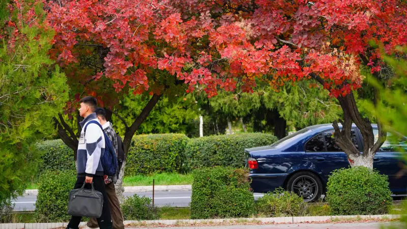 осень парк люди күз саябақ адамдар