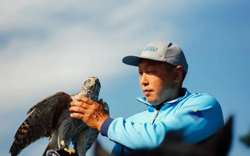 World Nomad Games: Best hunting birds prepared for competition