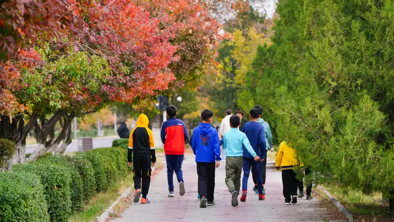 осень парк дети күз саябақ балалар