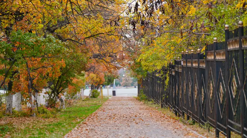 осень парк күз саябақ