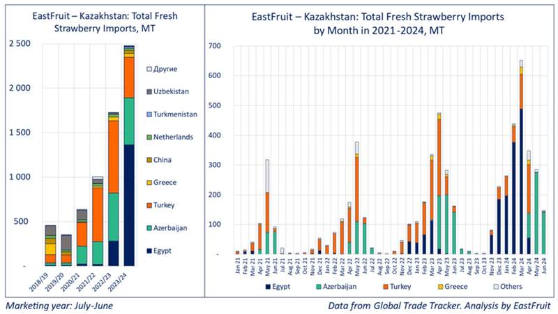 Egyptian exporters become leading supplier of fresh strawberries to Kazakhstan