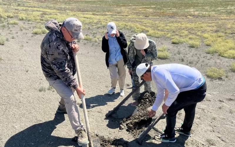 50 млн жыл бұрынғы акуланың тістері