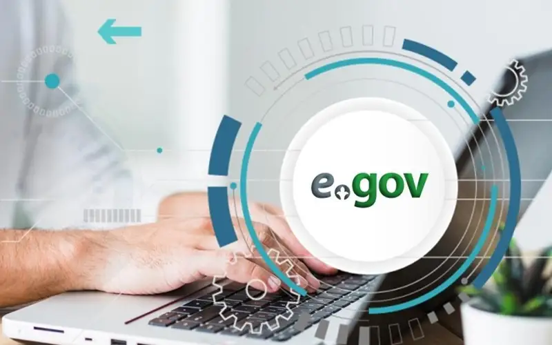 электронное правительство