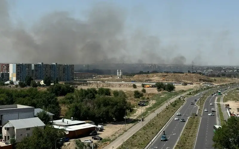 Сухая трава загорелась в Алматы