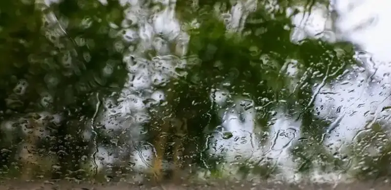 Warm weather with rain coming to Kazakhstan in next three days