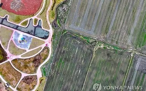 Rice cultivation areas