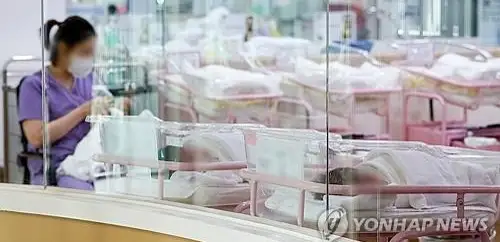 Childbirths in S Korea rebound