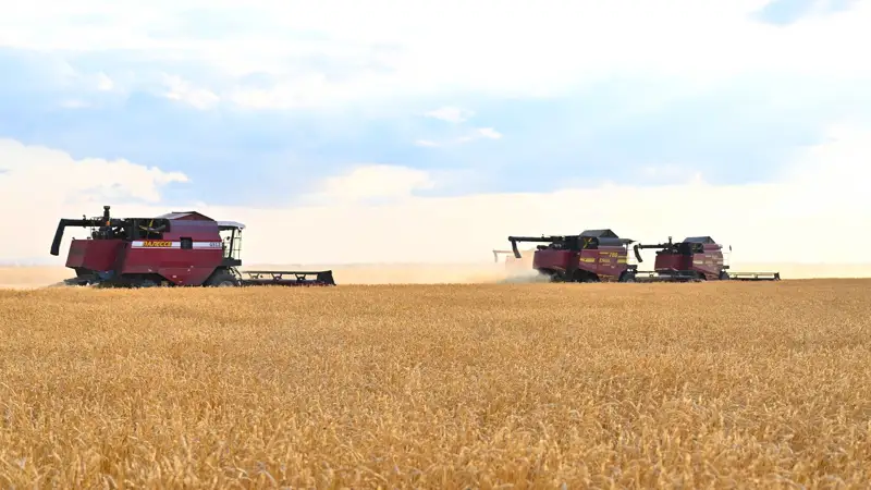 Главный мелькомбинат Семея готов принять 100 тыс. тонн зерна на хранение и переработку