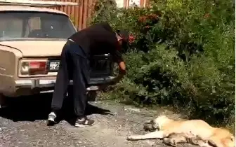 көлікпен сүйреген