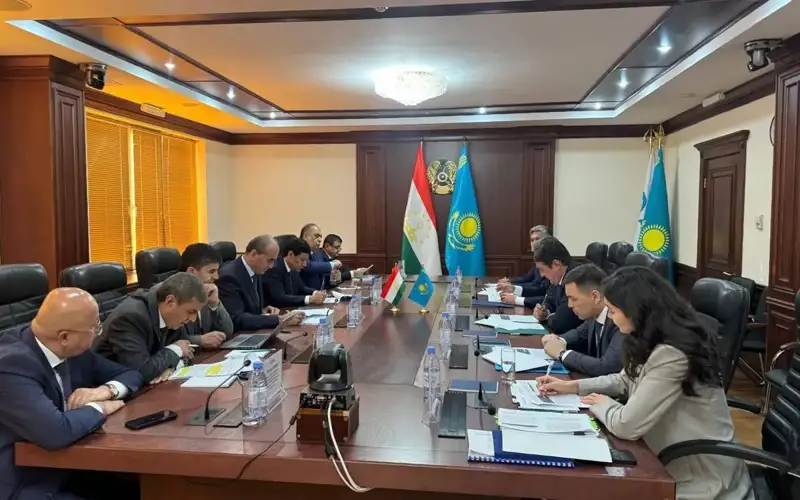 Kazakhstan, Tajikistan discuss electricity supply issues
