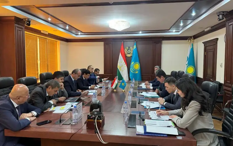 Казахстан и Таджикистан планируют сотрудничать в сфере электроэнергии 