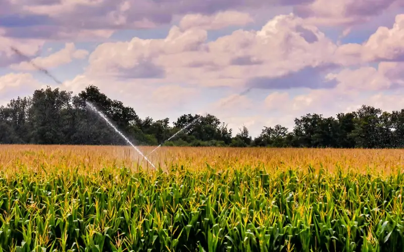 поливной период вода 